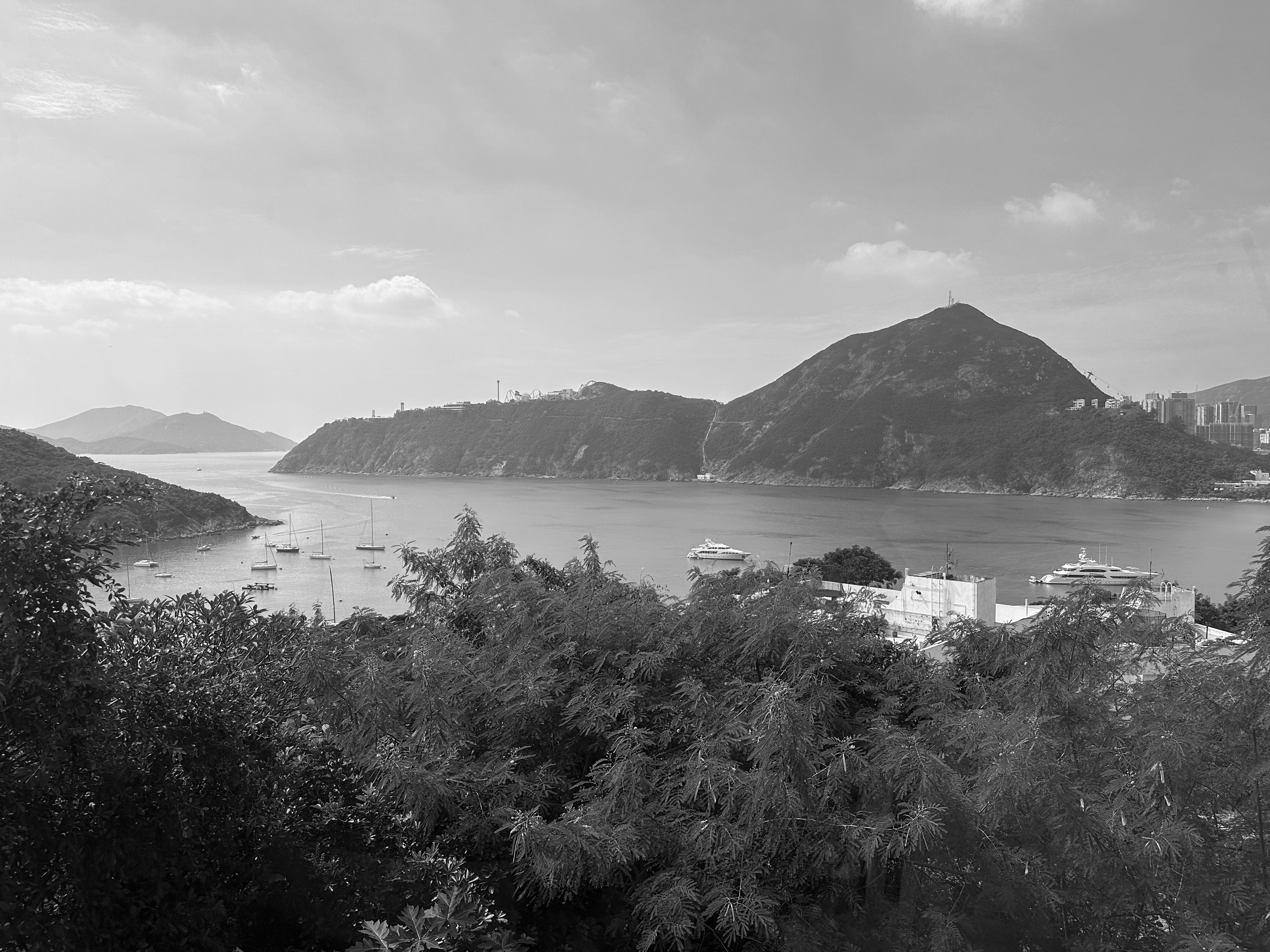 VVDA WH Residence WS